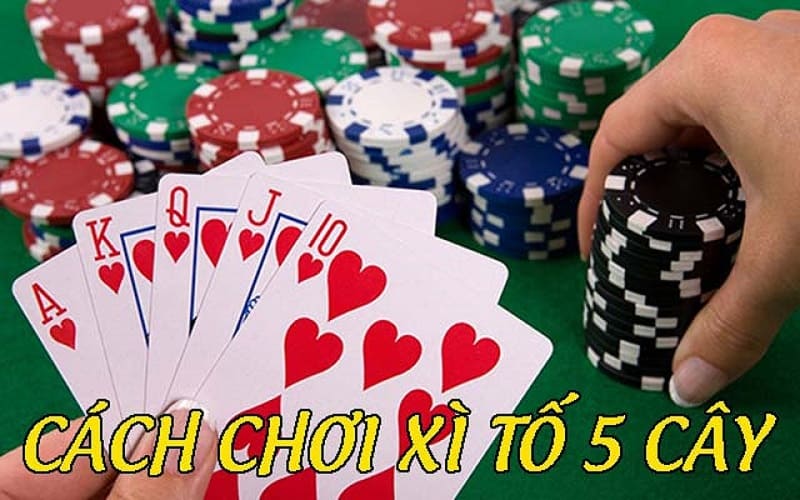 Áp dụng ngay mẹo chơi trong game bài xì tố