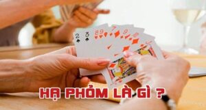 Hạ phỏm là gì?